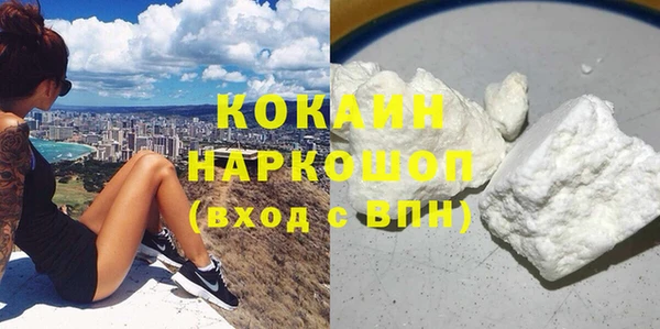прущие грибы Михайловск