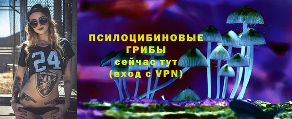 твердый Михайлов