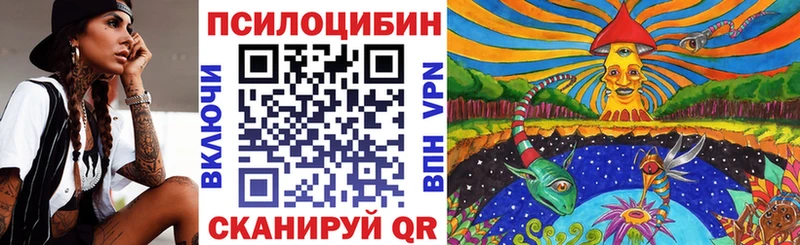 Псилоцибиновые грибы мицелий  где купить наркоту  Курчалой 